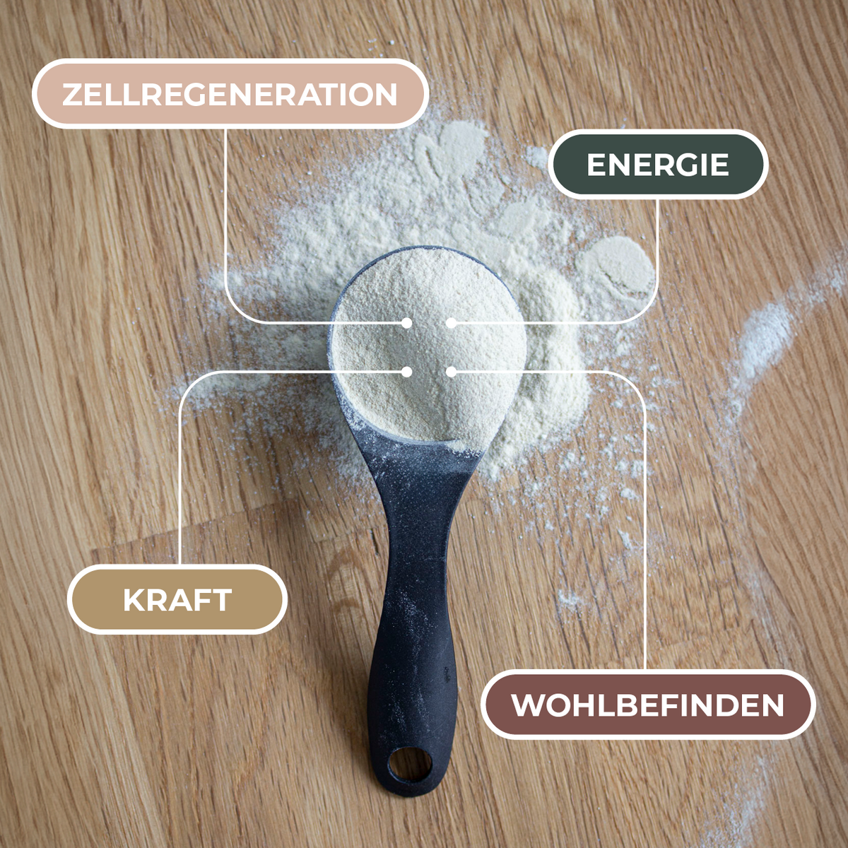 M1 Produktzubereitung