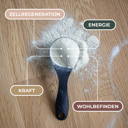 M1 Produktzubereitung